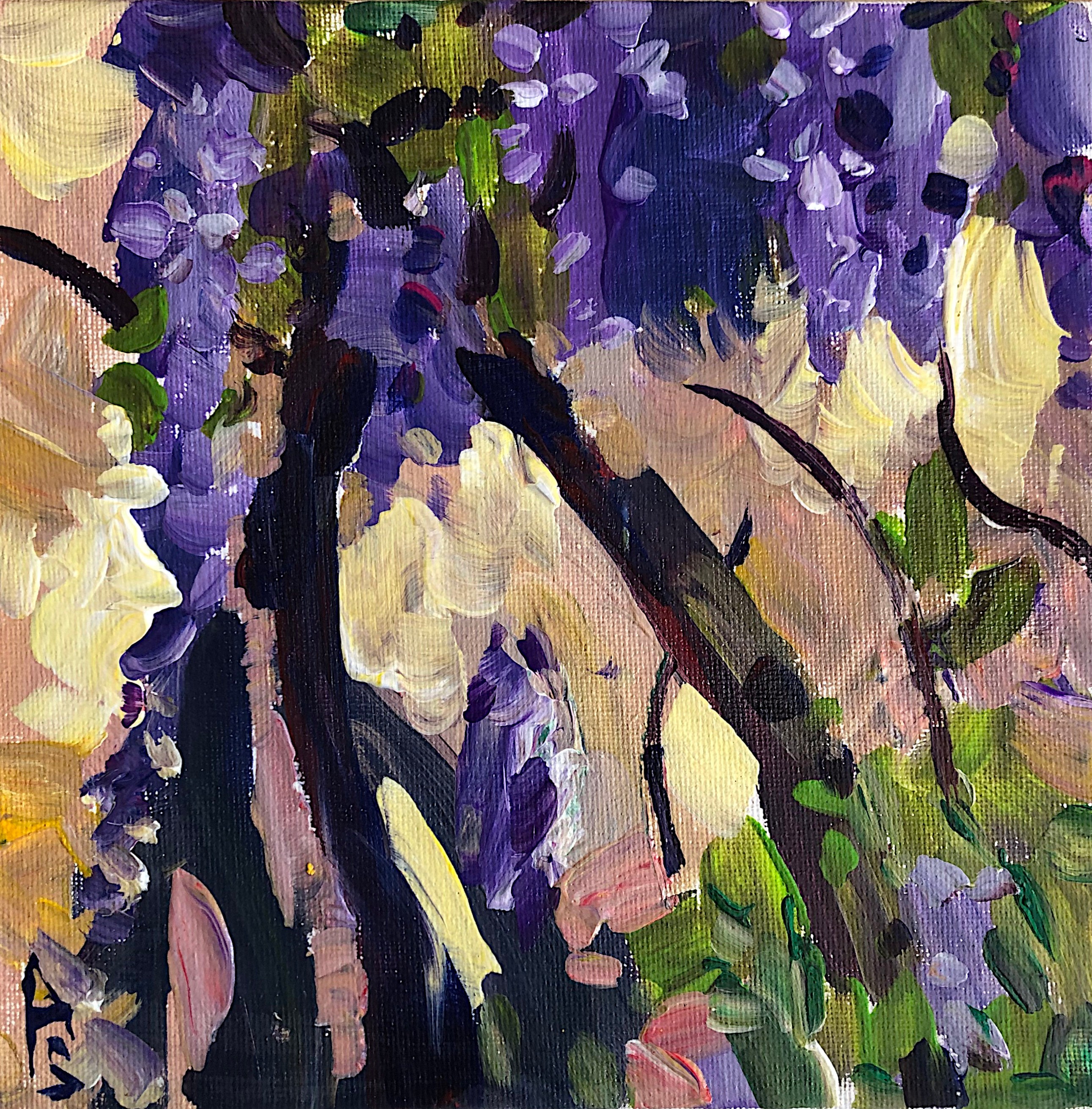 Sona Adalyan, Blooming Wisteria II Sona Adalyan, Blooming Wisteria II
