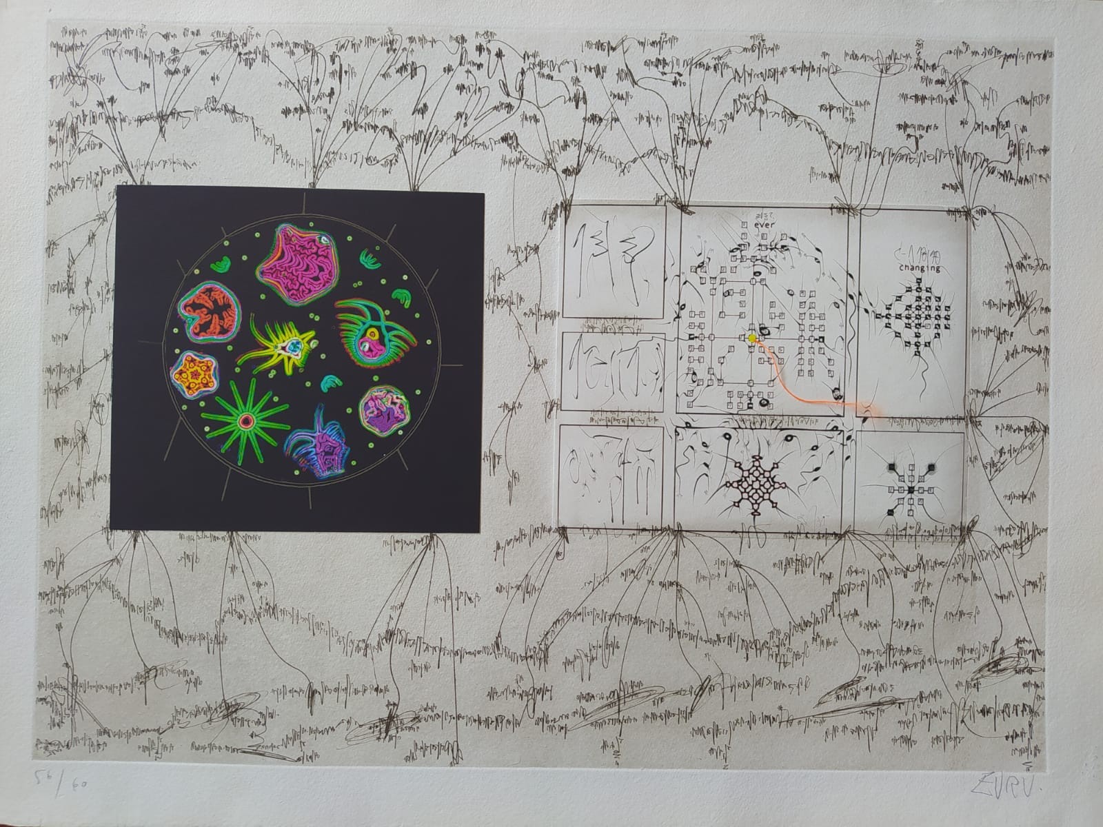 Alberto Porta (Zush), Untitled Alberto Porta (Zush), Untitled