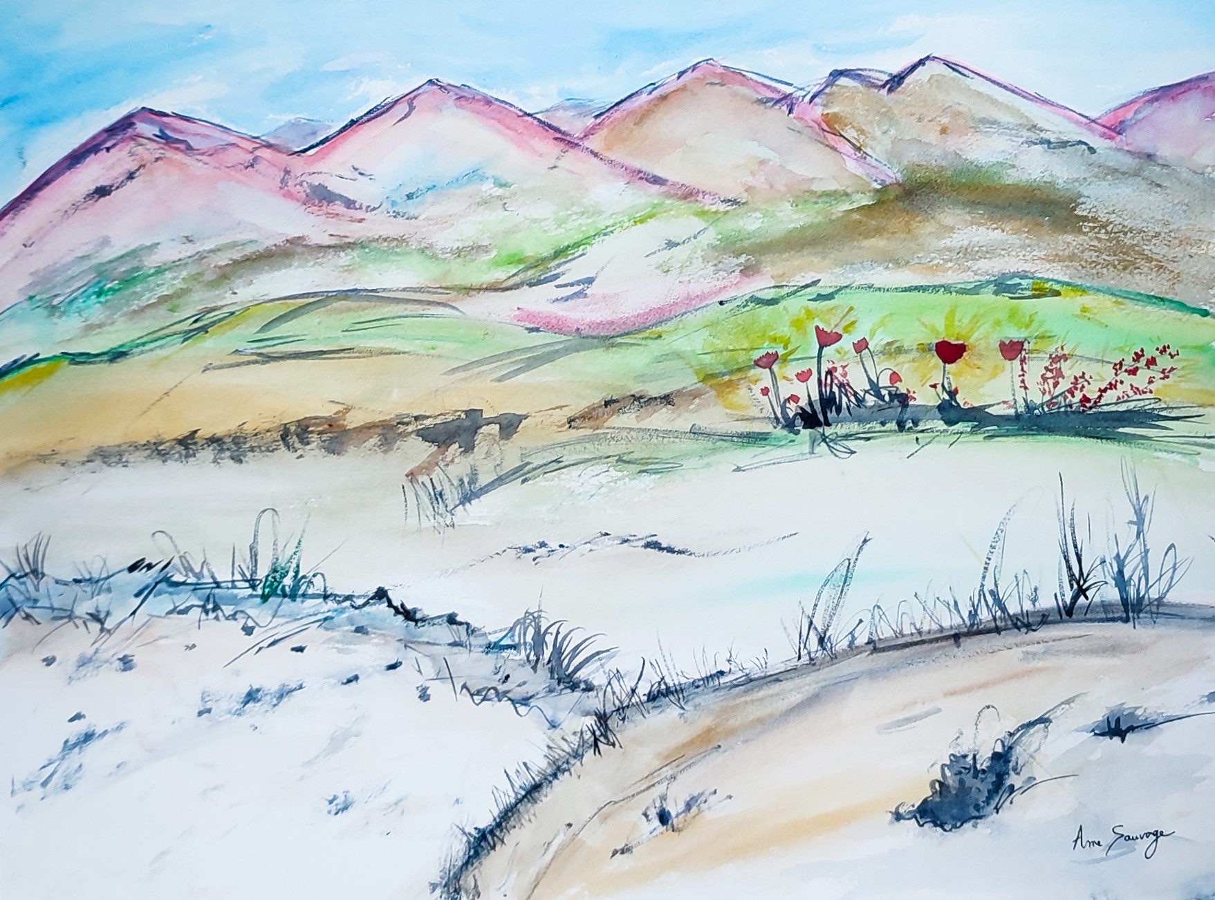 Âme Sauvage, Les montagnes roses Âme Sauvage, Les montagnes roses