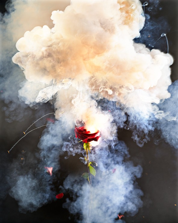 David Drebin, Exploding Rose (M) David Drebin, Exploding Rose (M)