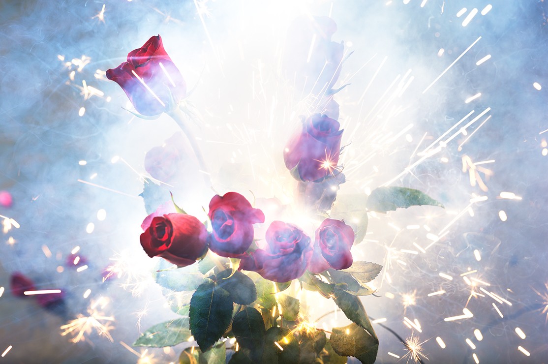 David Drebin, Fire And Roses (Lightbox) David Drebin, Fire And Roses (Lightbox)