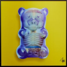 Édition, Gummy Bear Yellow, James Chiew