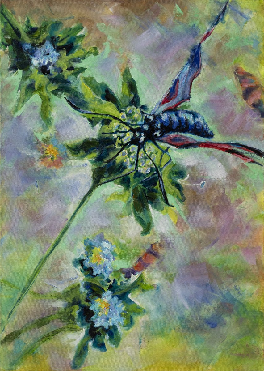 Robert Magendie Malo, L'insecte - Nature et animaux Robert Magendie Malo, L'insecte - Nature et animaux