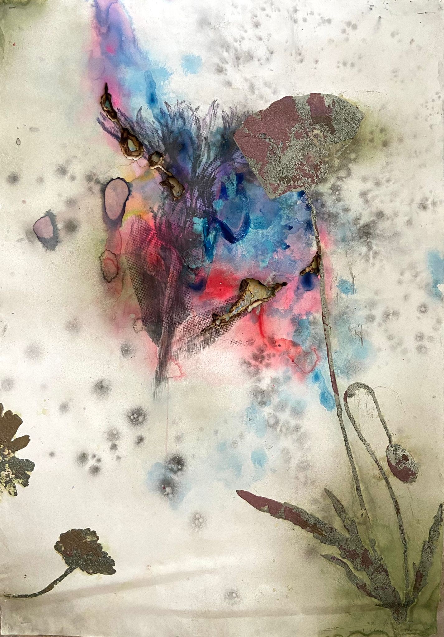 Akira Inumaru, Fleurs de 18 C Akira Inumaru, Fleurs de 18 C
