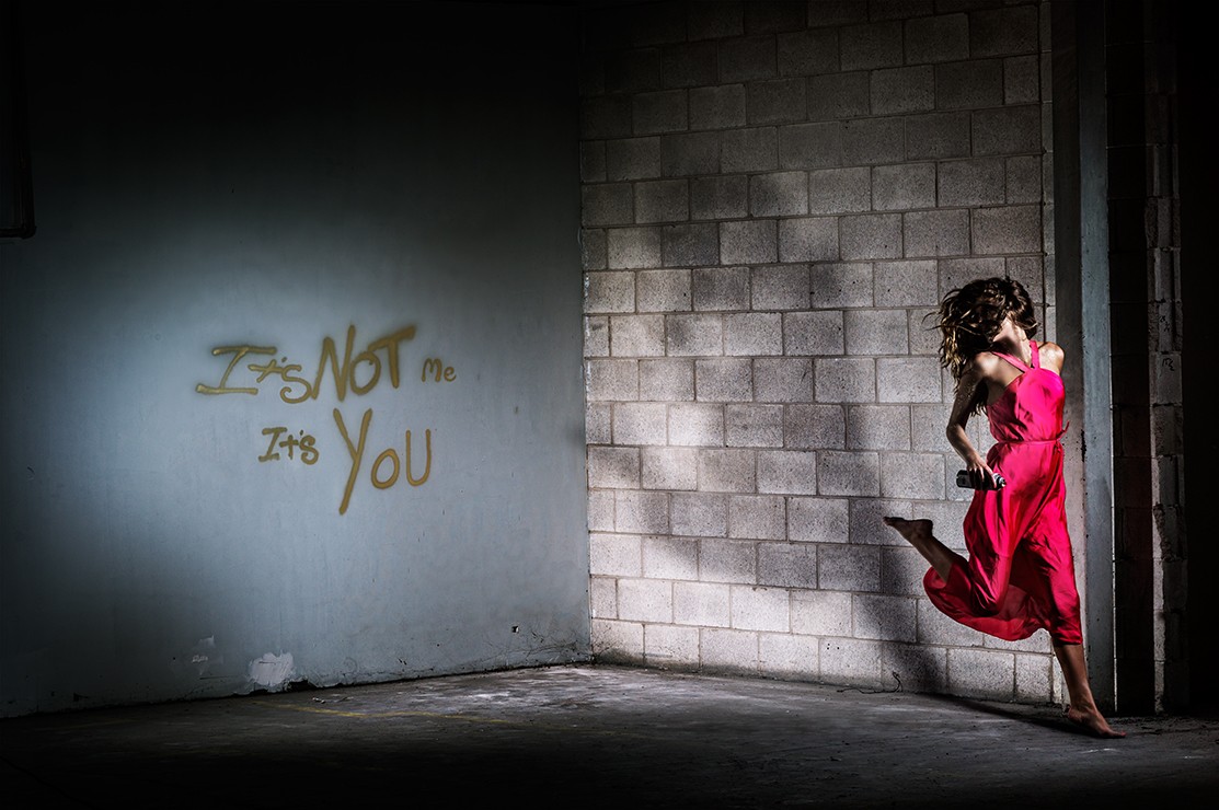 David Drebin, It's Not Me, It's You (L) David Drebin, It's Not Me, It's You (L)