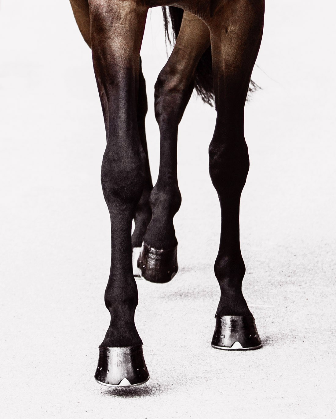 Amrita Bilimoria, Catwalk Amrita Bilimoria, Catwalk