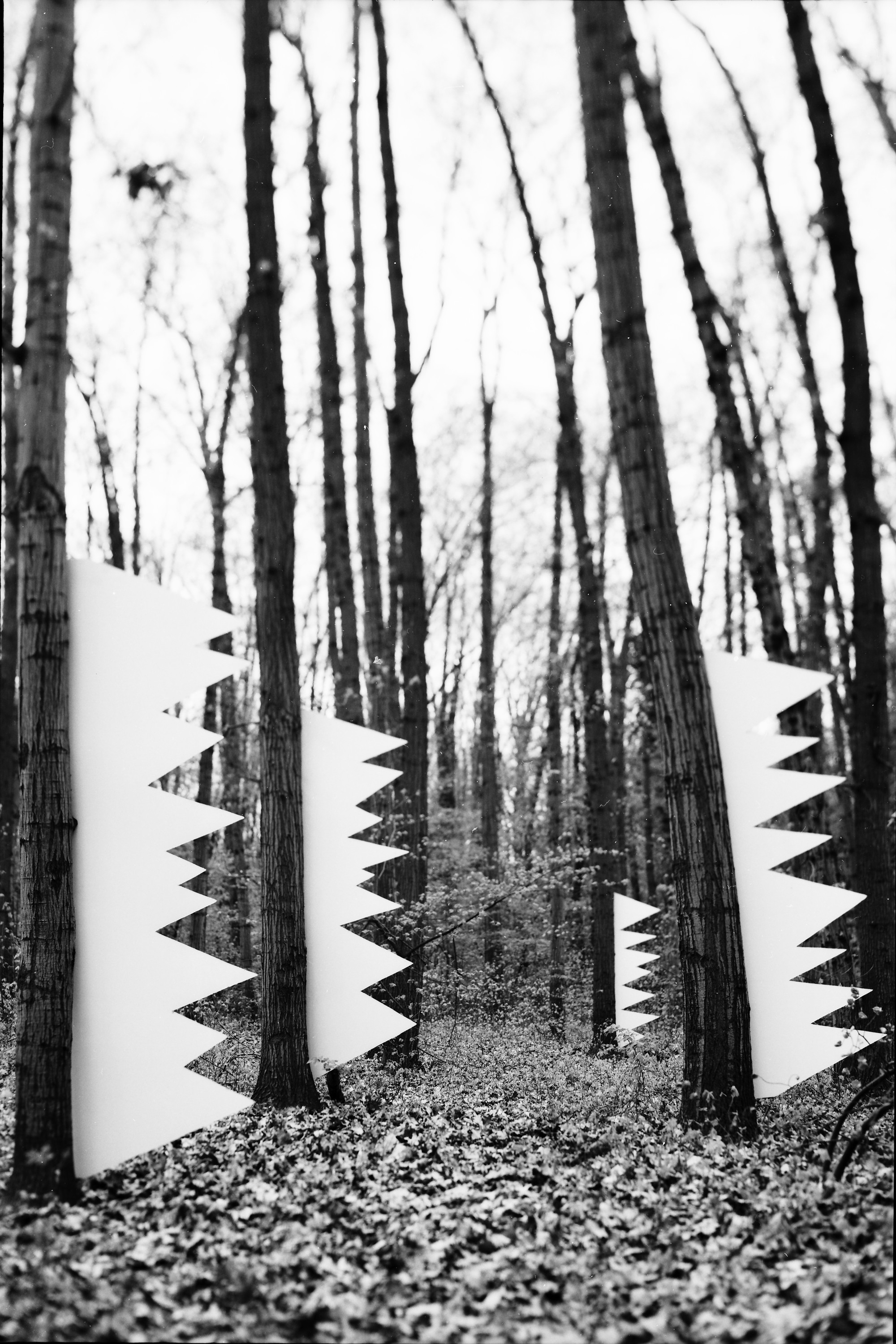 Milen Radev, Sharpness 03 Milen Radev, Sharpness 03