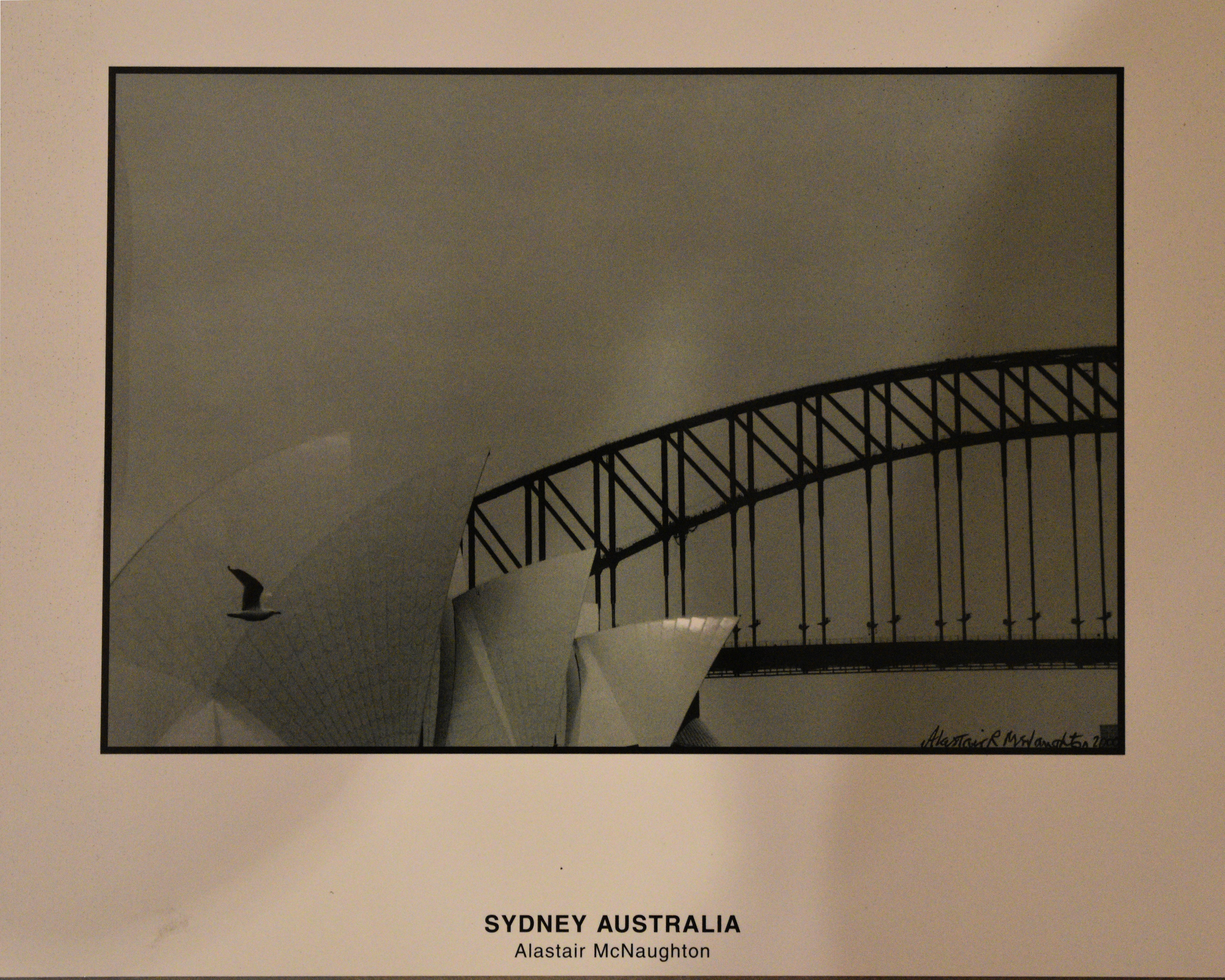 Alastair Mc Naughton, Opera house seagull Alastair Mc Naughton, Opera house seagull