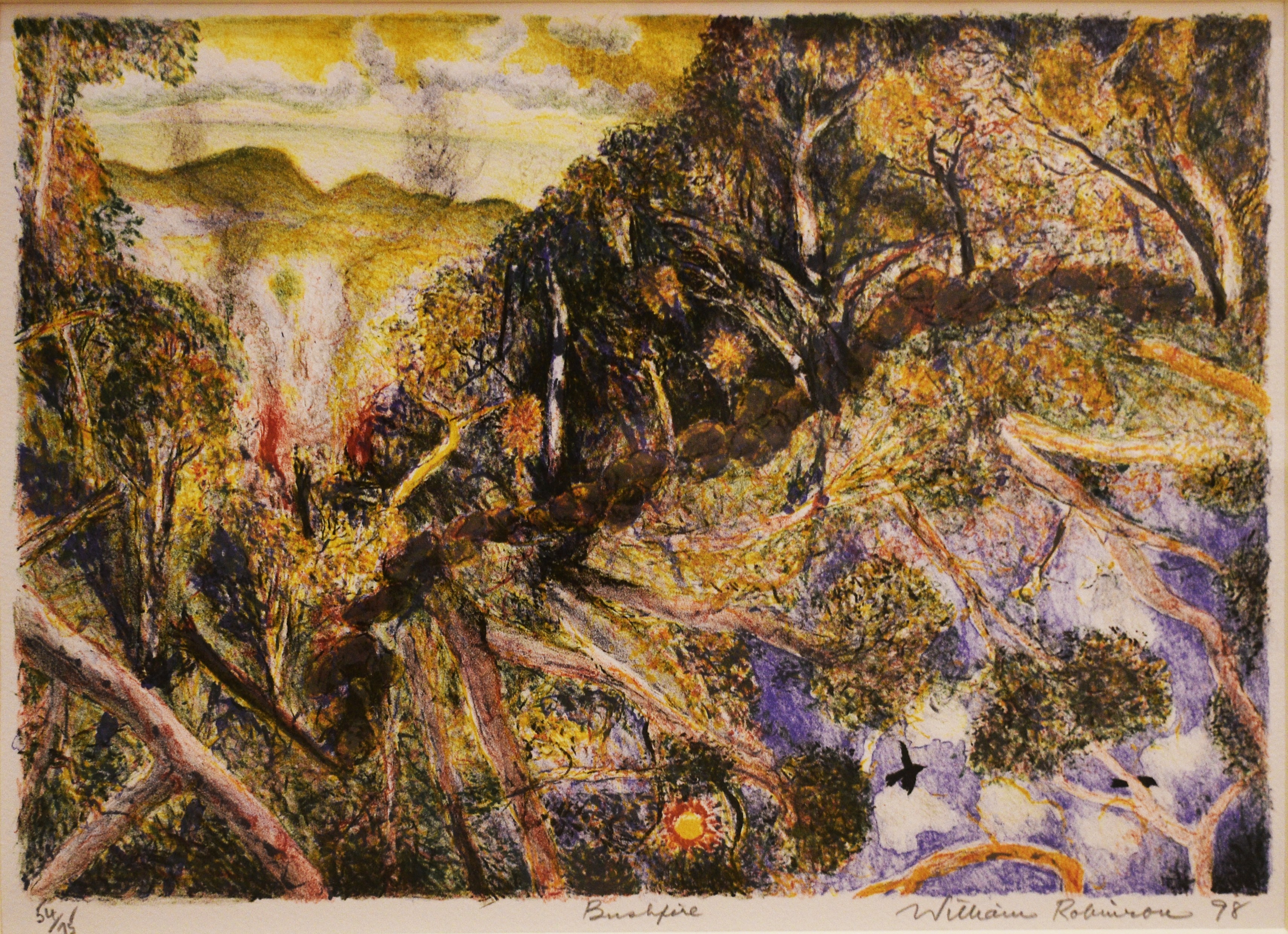 William Robinson, Bushfire William Robinson, Bushfire