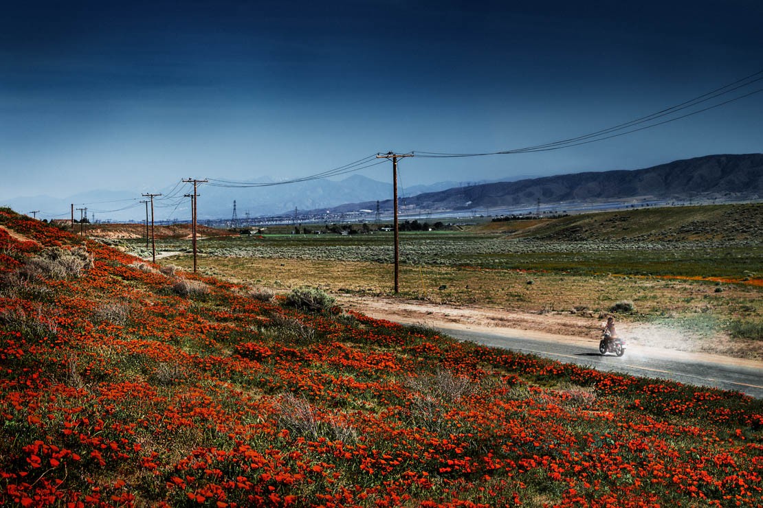 David Drebin, Magic Highway (M) David Drebin, Magic Highway (M)