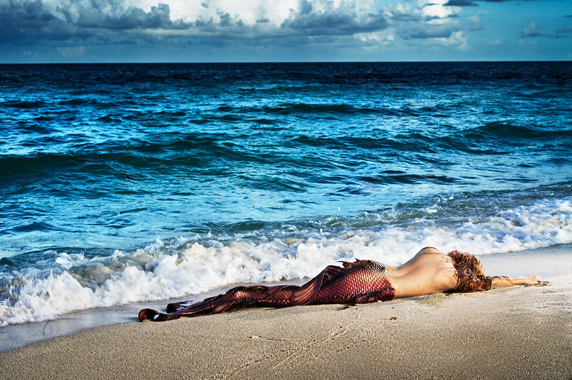 David Drebin, Mermaid In Paradise I (M) David Drebin, Mermaid In Paradise I (M)