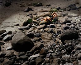 Photography, On The Rocks (M), David Drebin