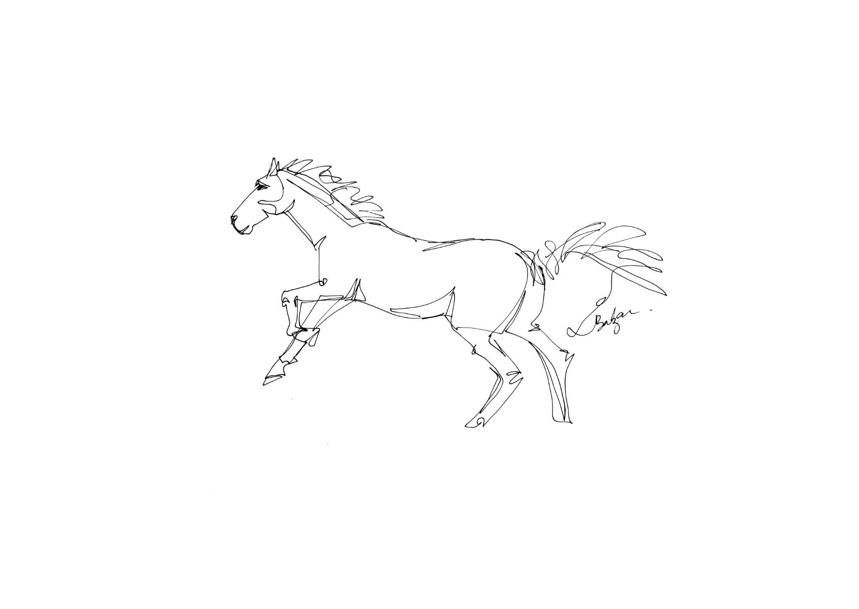 Balzac, Cheval Balzac, Cheval