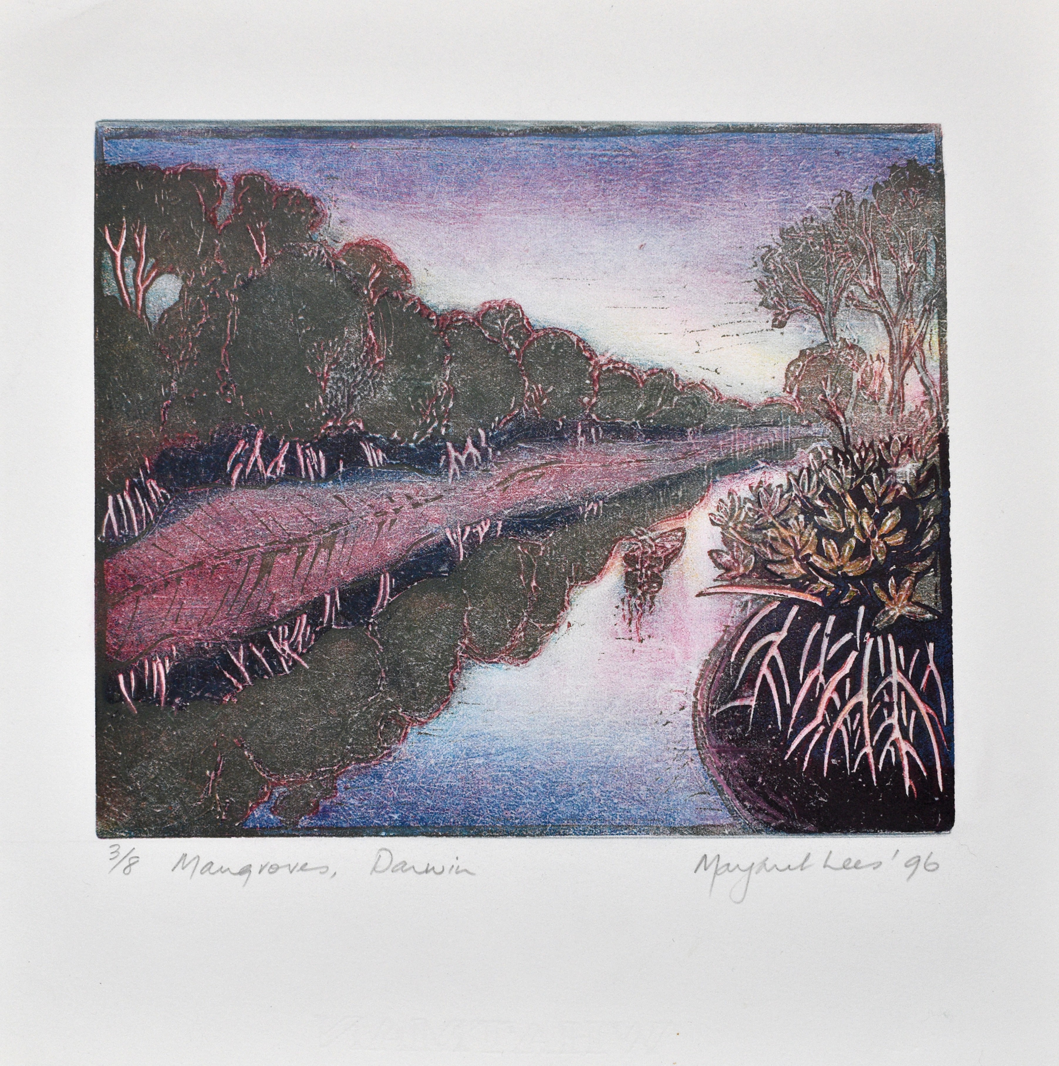 Margaret Lees, Mangrove Darwin Margaret Lees, Mangrove Darwin