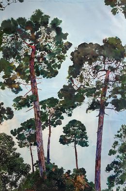 Painting, Pinus truculentus, Sébastien Mahon