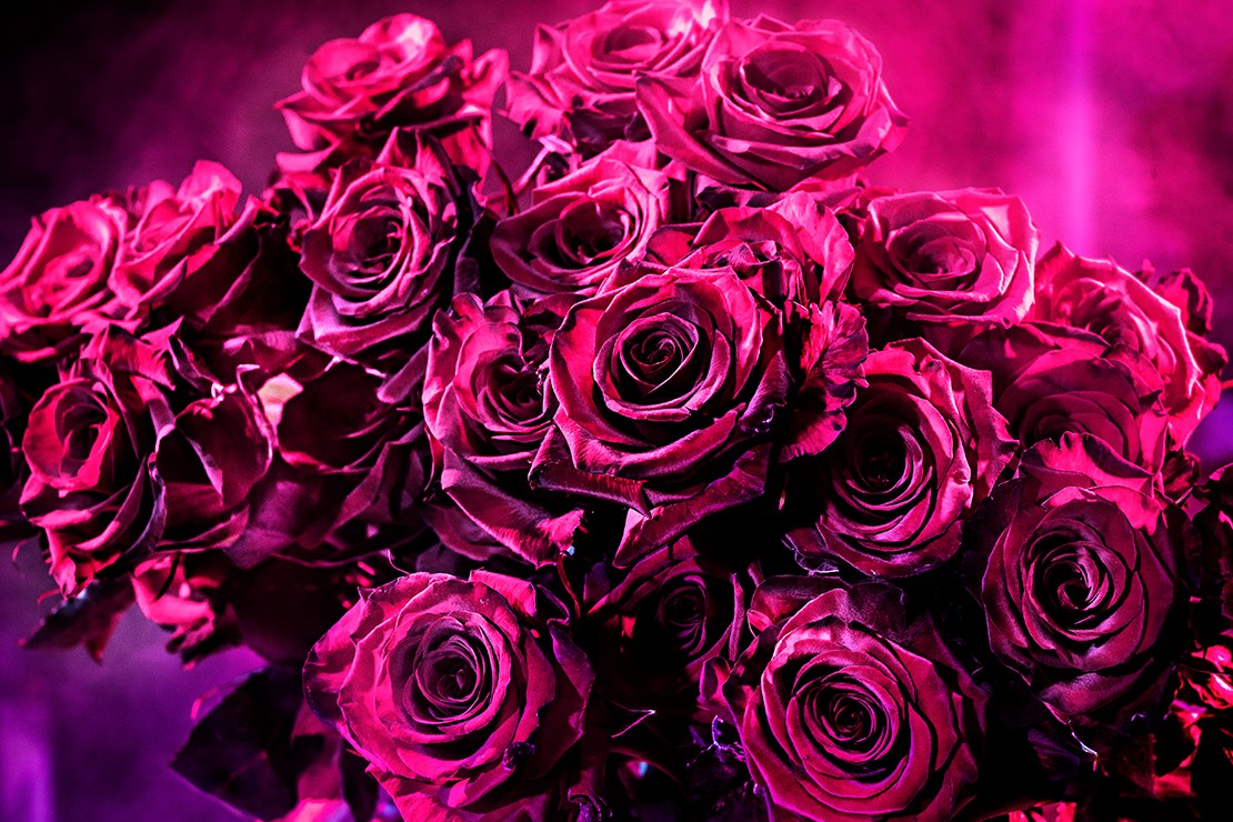 David Drebin, Pink Love (L) David Drebin, Pink Love (L)