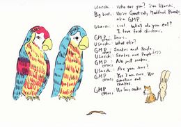 Édition, 2 Genetically modified parrots, Atsushi Kaga