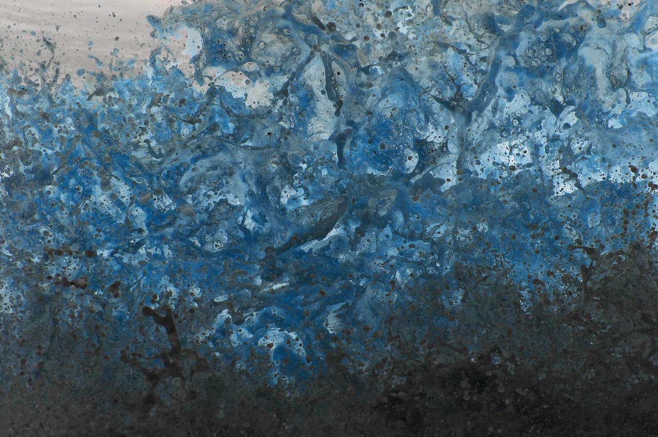 Laurence Gallien, Pollock 1 Laurence Gallien, Pollock 1