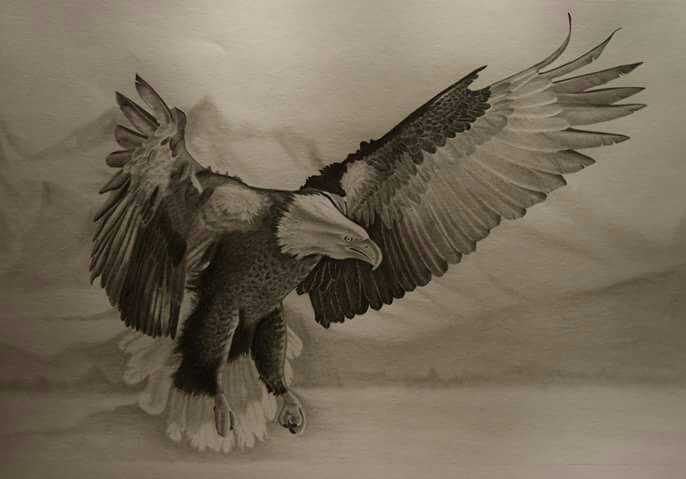 Farid Saâdi, Eagle Farid Saâdi, Eagle