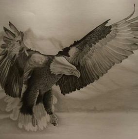 Fine Art Drawings, Eagle, Farid Saâdi