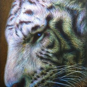 Pintura, 743 - Tigre XXXVI, Rémi Planche