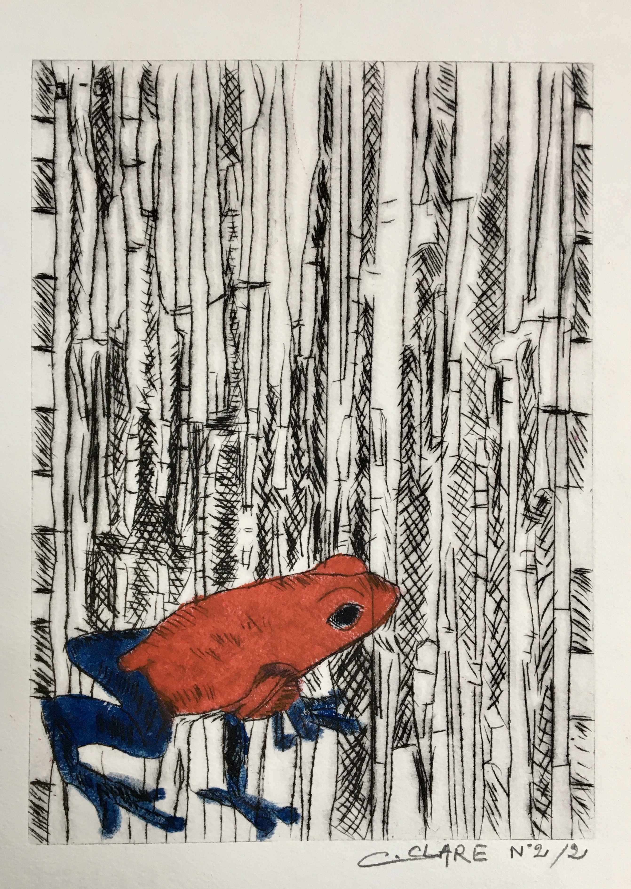 Catherine Clare, Blue jeans frog N°2 Catherine Clare, Blue jeans frog N°2