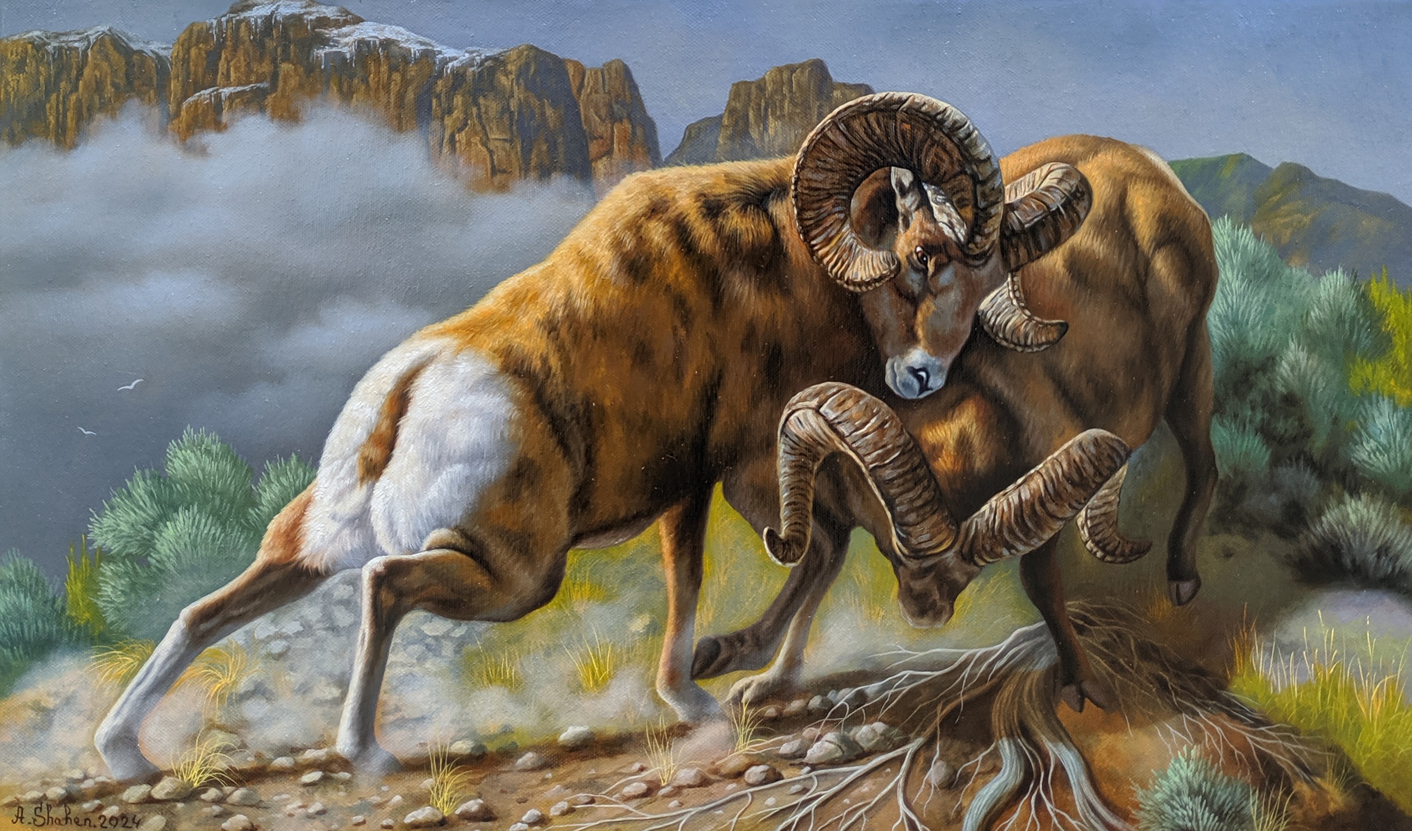 Shahen Aleksandryan, Clash of the Titans Shahen Aleksandryan, Clash of the Titans
