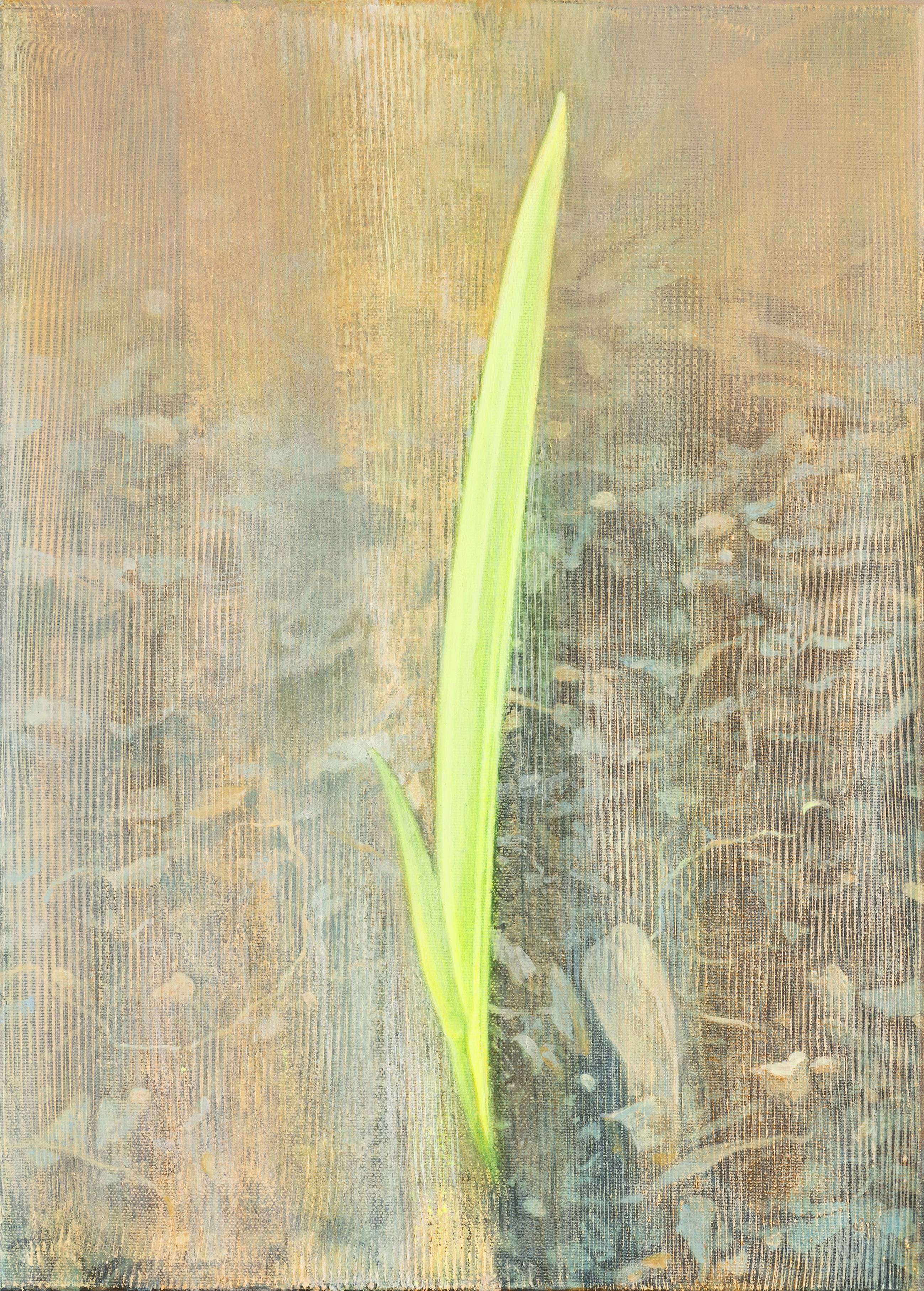 Petya Deneva, Germination Petya Deneva, Germination
