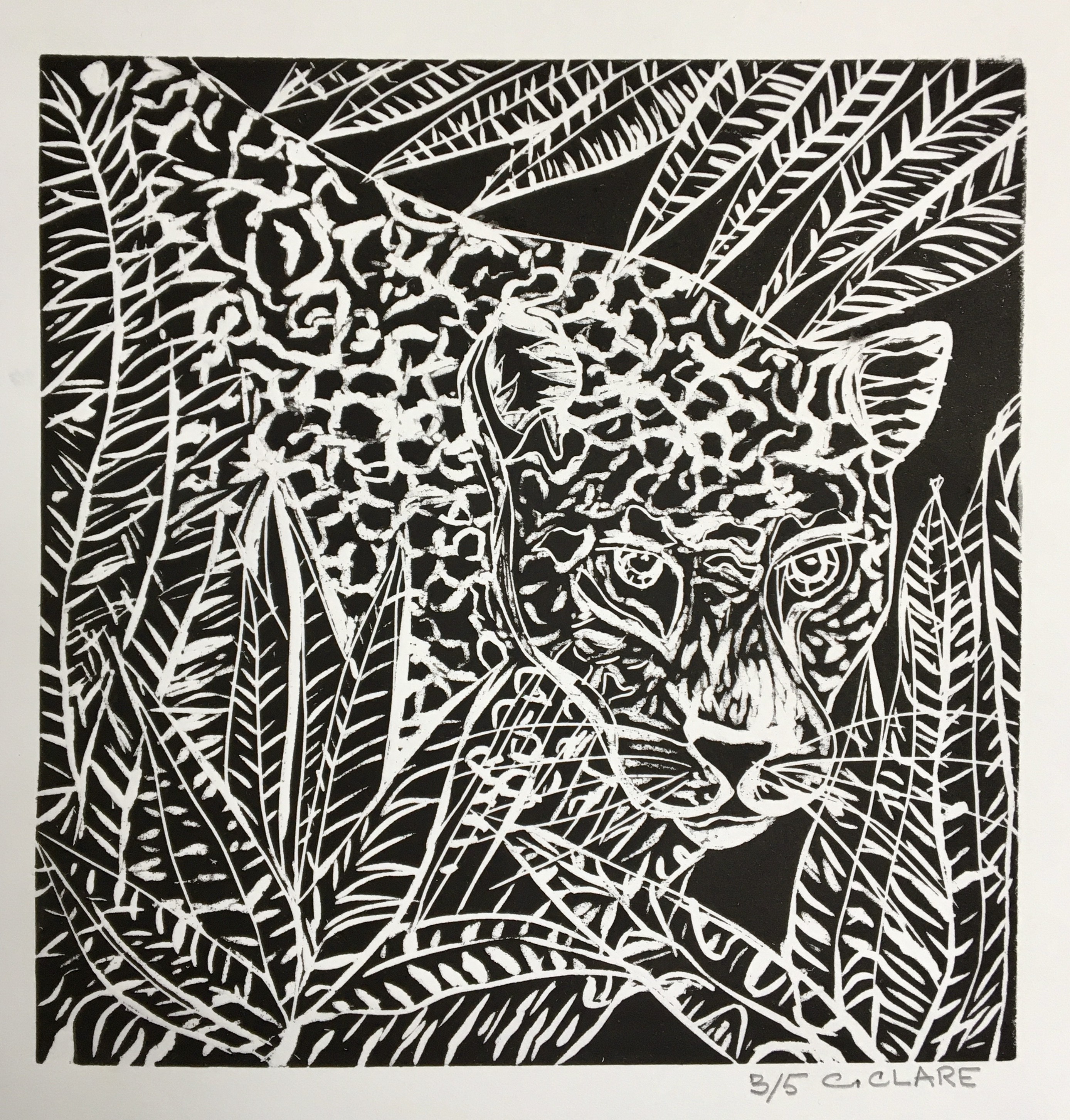 Catherine Clare, Jaguar du Costa Rica II, N°3/5 Catherine Clare, Jaguar du Costa Rica II, N°3/5