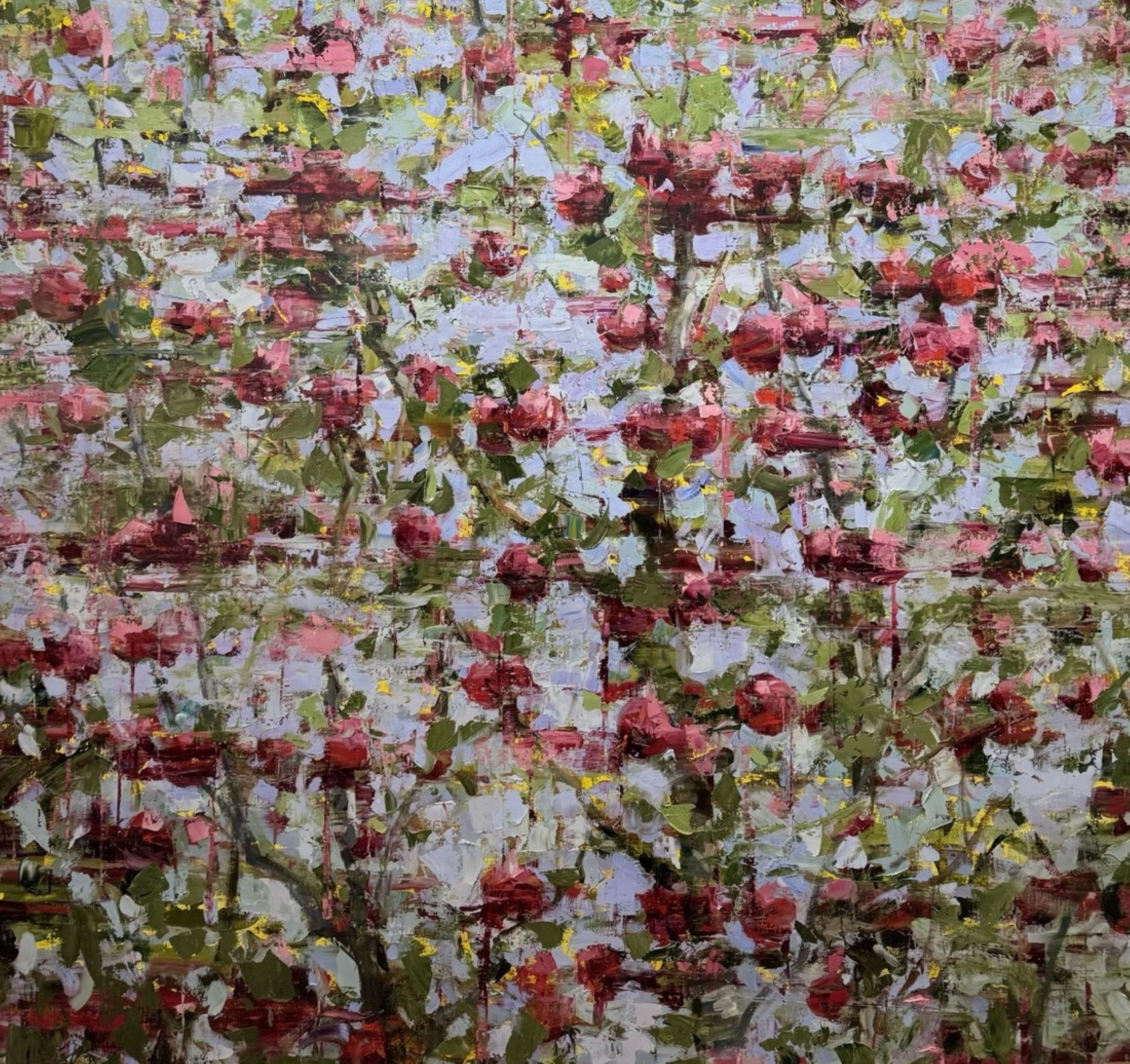 Ali Hasmut, Apples Flowering Ali Hasmut, Apples Flowering