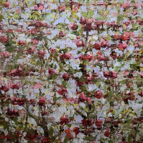 Painting, Apples Flowering, Ali Hasmut
