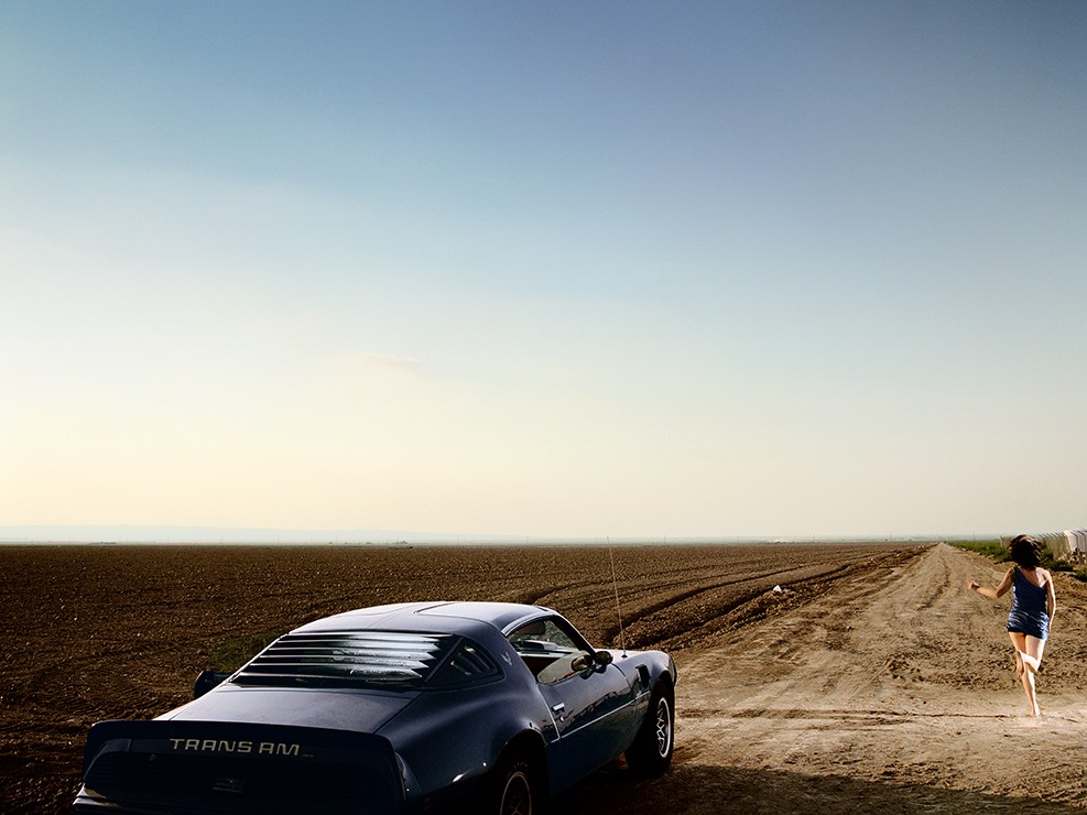David Drebin, Trans Am (Lightbox) David Drebin, Trans Am (Lightbox)