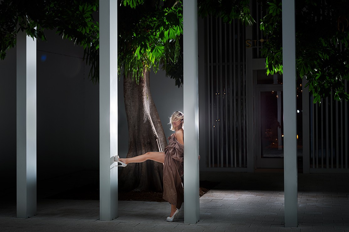 David Drebin, VIP Only (M) David Drebin, VIP Only (M)