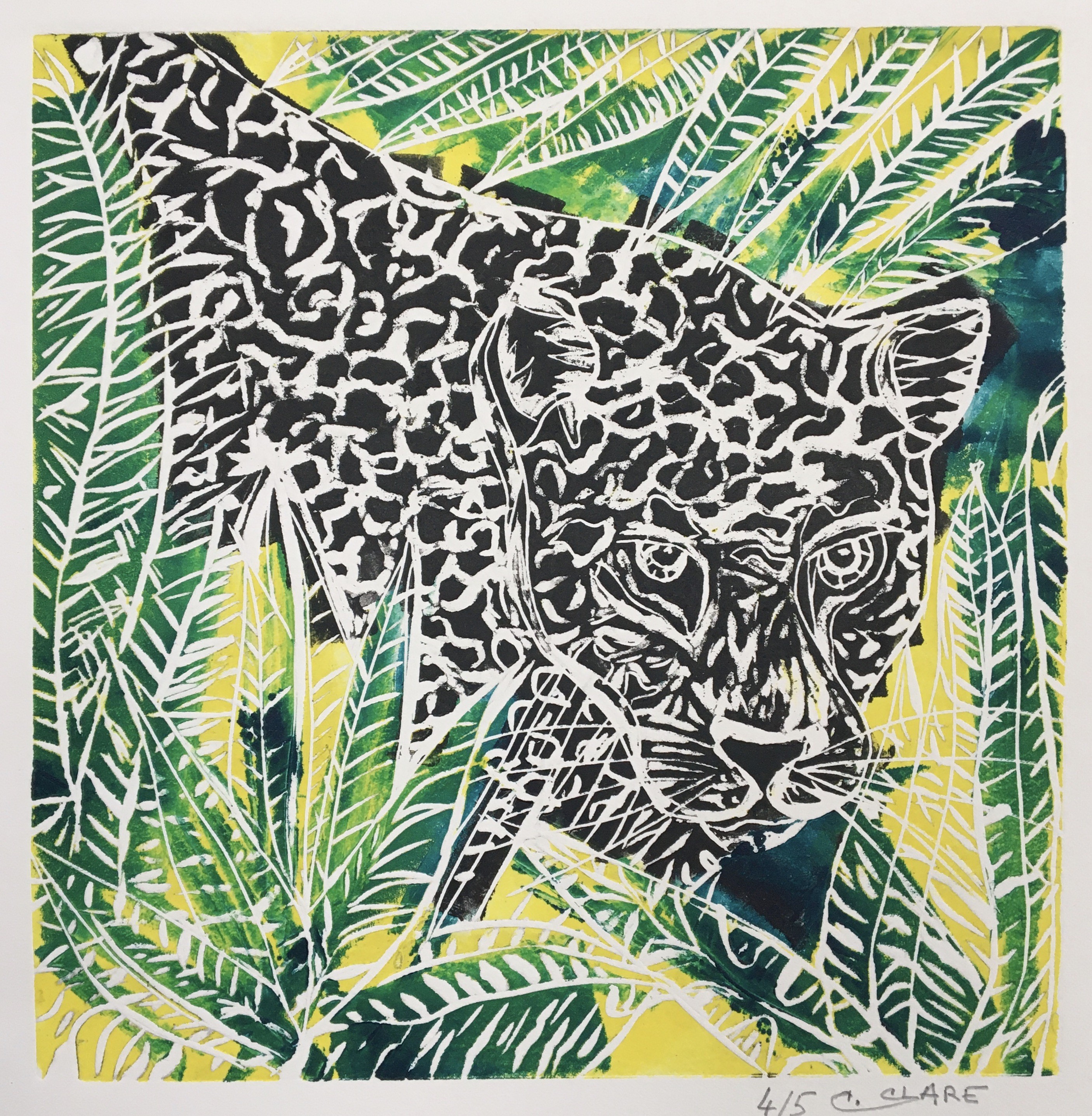 Catherine Clare, Jaguar du Costa Rica II, N°4/5 Catherine Clare, Jaguar du Costa Rica II, N°4/5