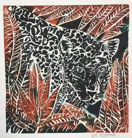 Edición, Jaguar du Costa Rica II, N°5/5, Catherine Clare