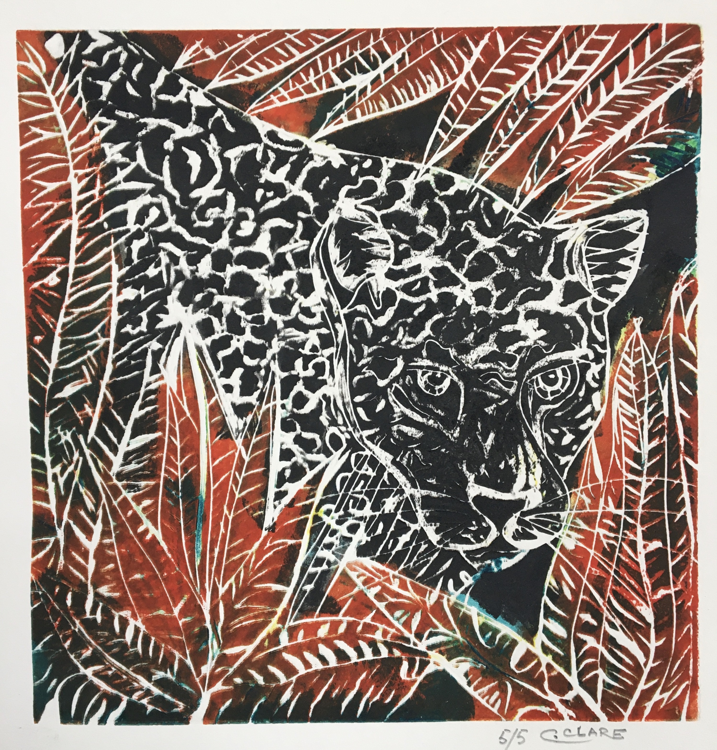 Catherine Clare, Jaguar du Costa Rica II, N°5/5 Catherine Clare, Jaguar du Costa Rica II, N°5/5
