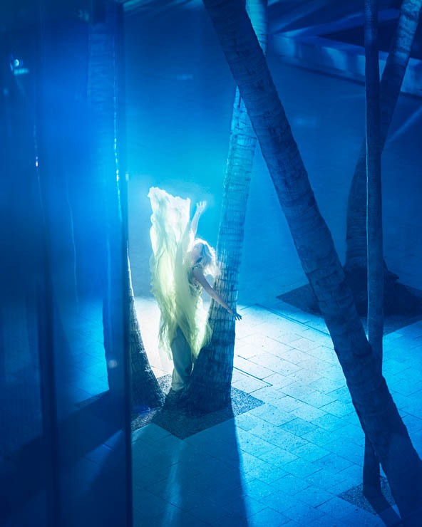 David Drebin, Yellow Fever (Lightbox) David Drebin, Yellow Fever (Lightbox)