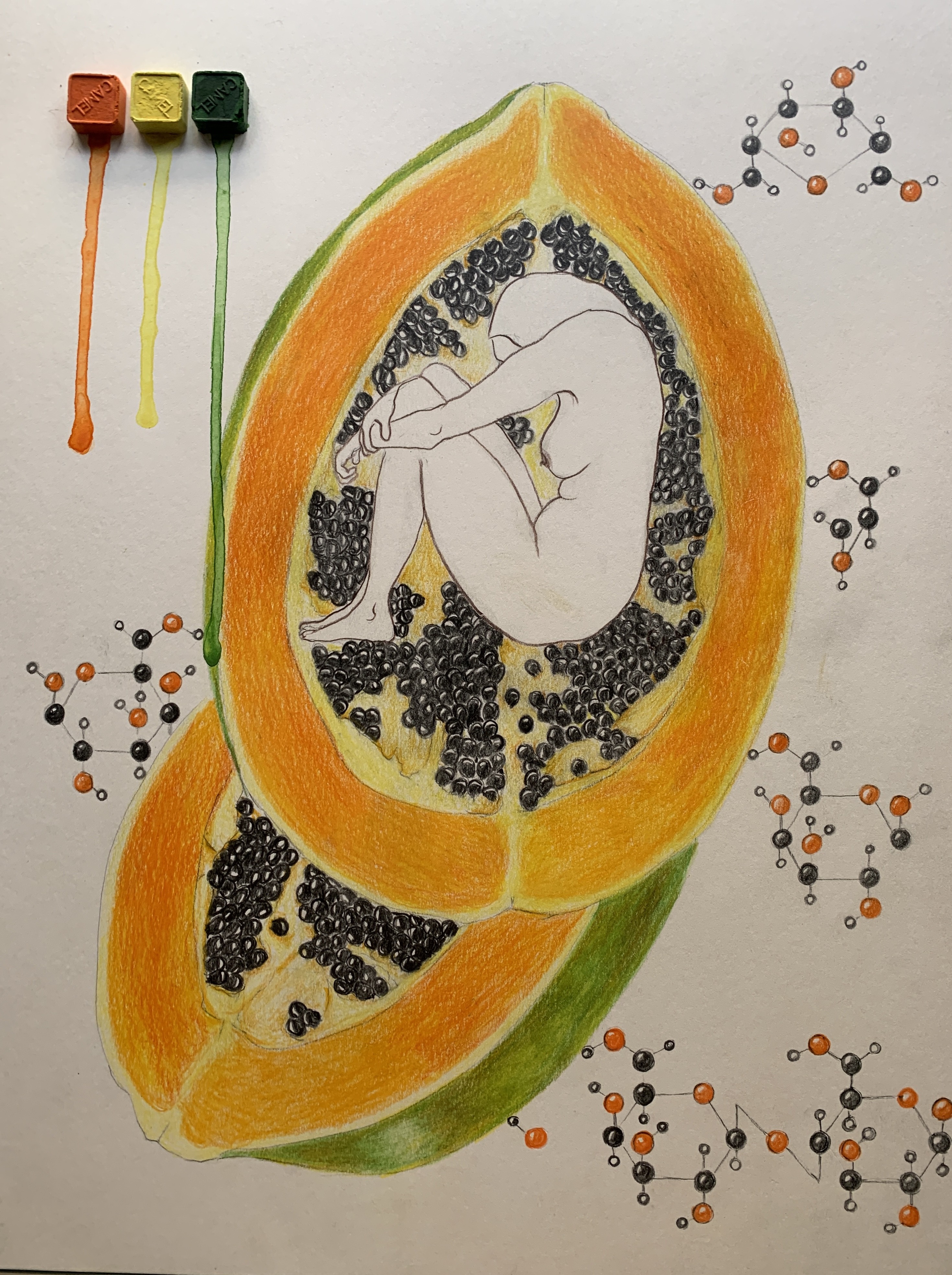 Megha Joshi, Papaya Republic. Drawings From the covid diaries series Megha Joshi, Papaya Republic. Drawings From the covid diaries series