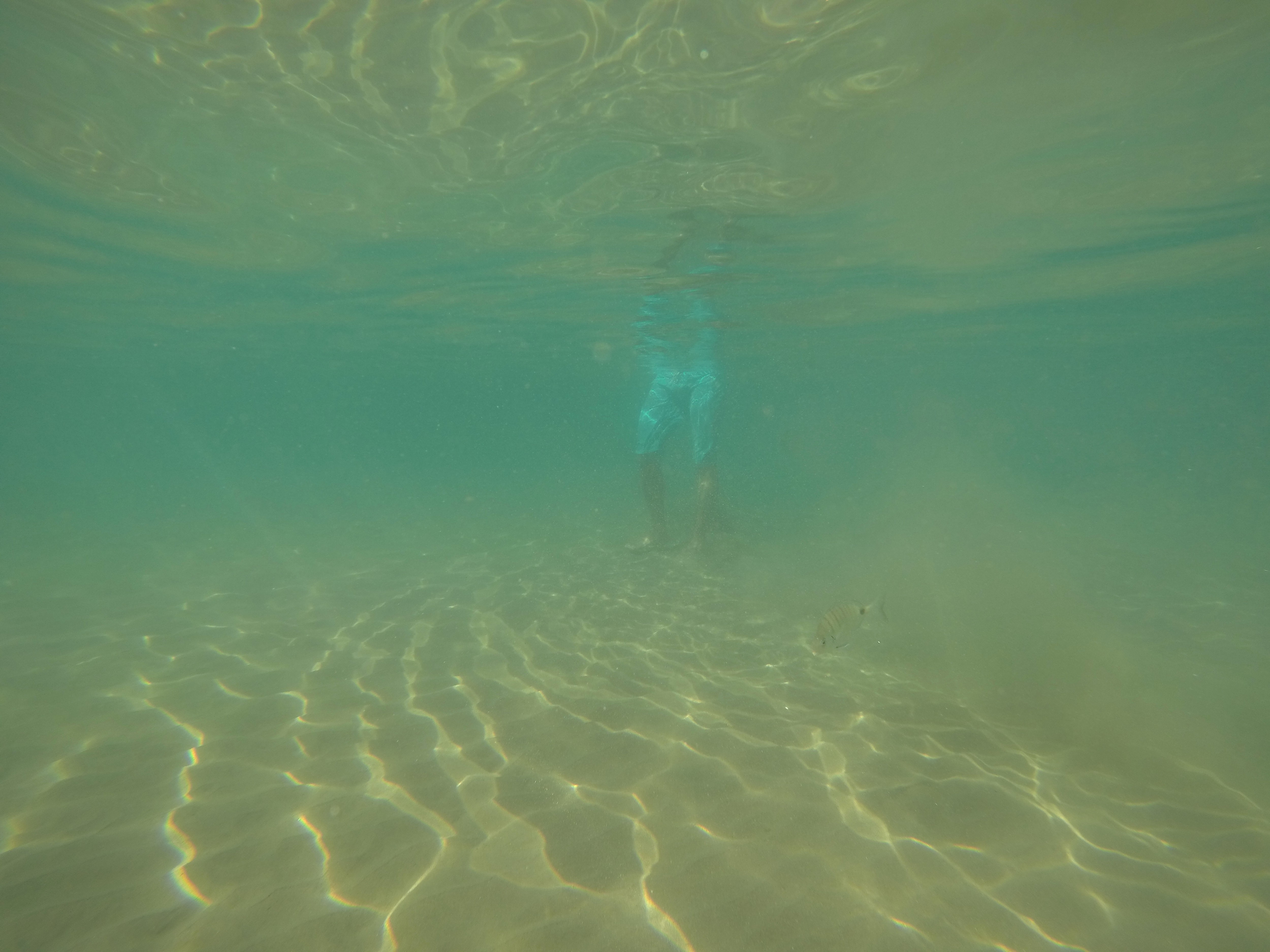 Jenny Owens, Under Water series Jenny Owens, Under Water series