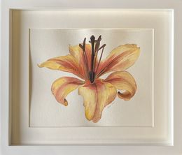Fine Art Drawings, Yellow Lily + frame, Iryna Antoniuk
