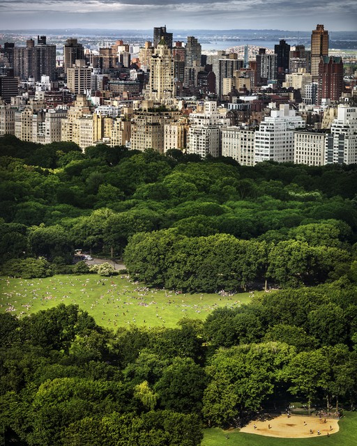 David Drebin, Chasing Paradise (Lightbox) David Drebin, Chasing Paradise (Lightbox)