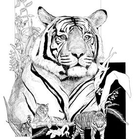 Fine Art Drawings, Tigres, Guillaume Piot