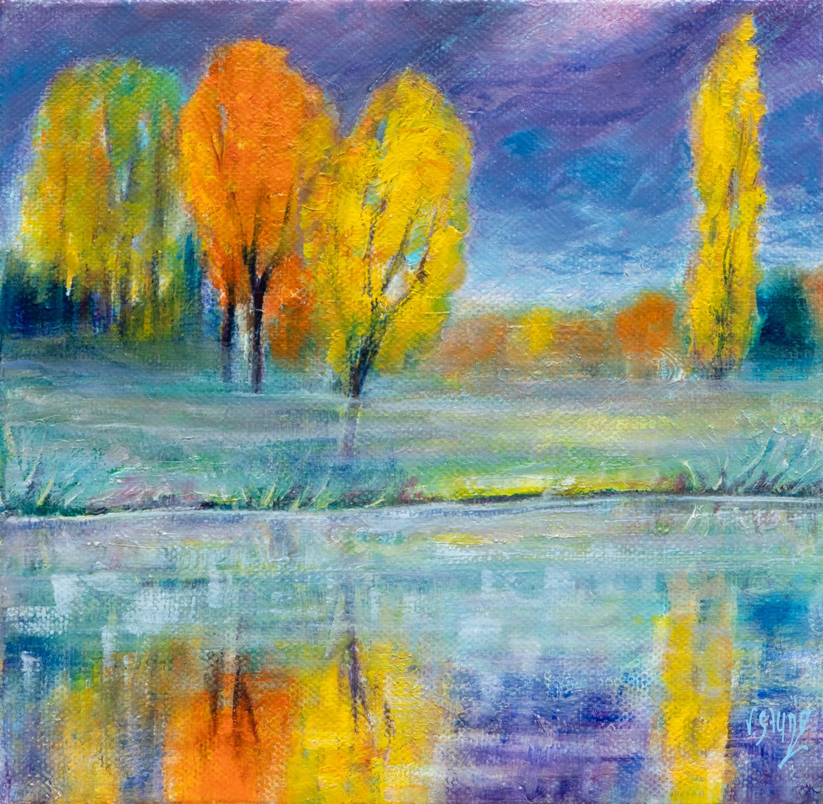 Véronique Saudez, L'etang du Plan - Paysage et Nature Véronique Saudez, L'etang du Plan - Paysage et Nature