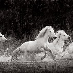 Photographie, Uncharted, Drew Doggett