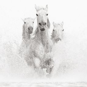 Photography, Cascade of White, Drew Doggett