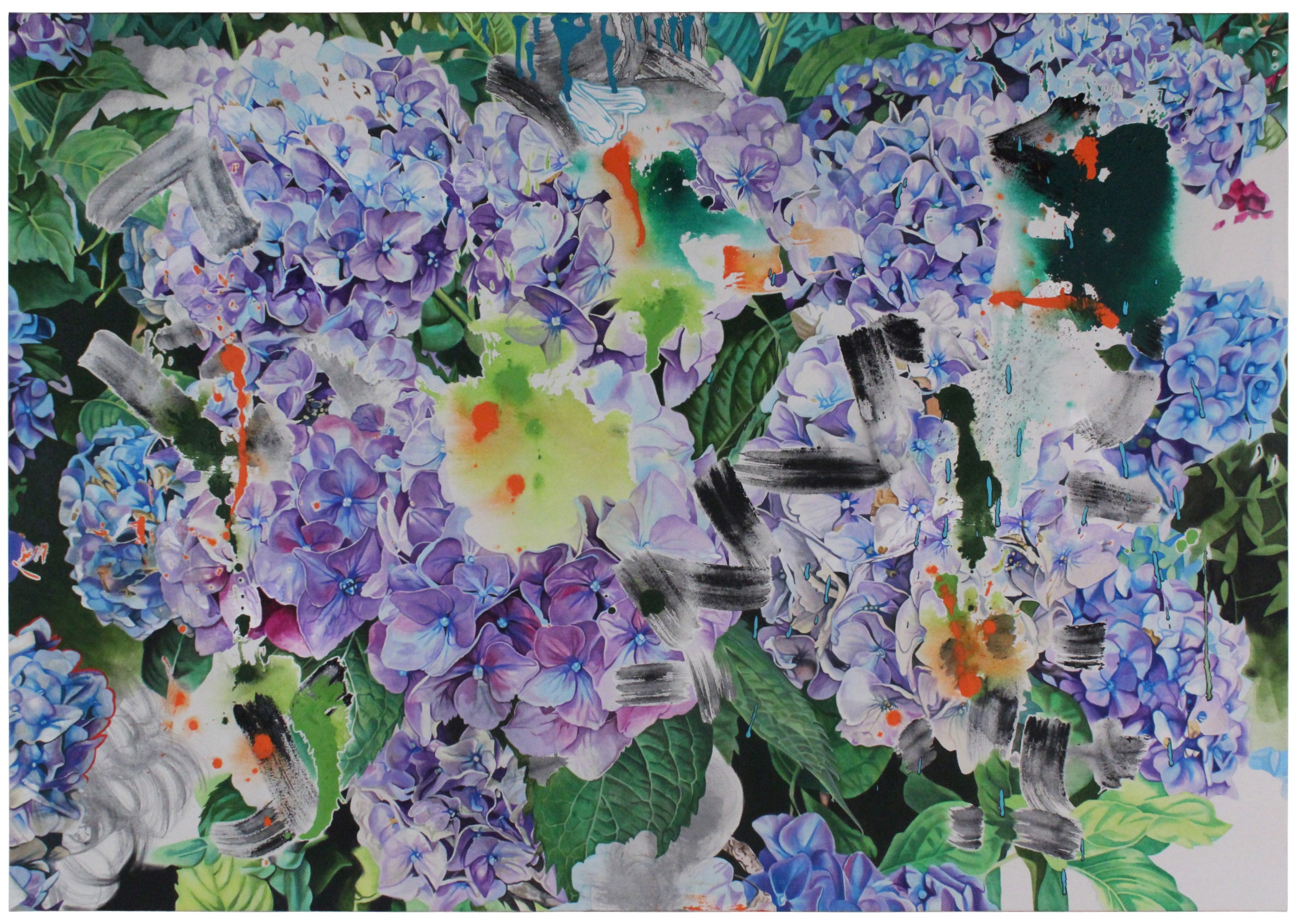 John Capitano, Hydrangeas #8 John Capitano, Hydrangeas #8