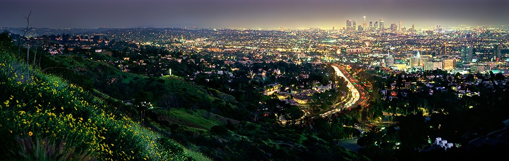 David Drebin, Los Angeles (M) David Drebin, Los Angeles (M)