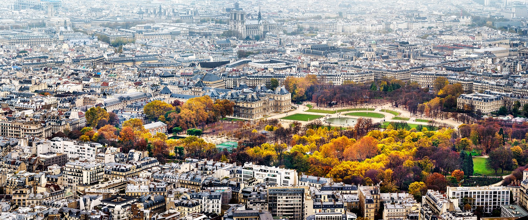 David Drebin, Luxembourg Gardens (M) David Drebin, Luxembourg Gardens (M)