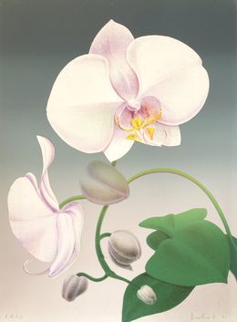 Print, Paleonopsis, Ken Bushnell