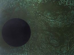 Print, Disc negre damunt verd, Joan Josep Tharrats